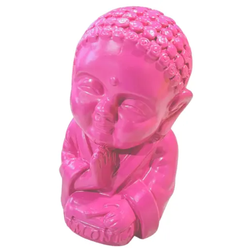 Buda bebe armonia fuscia 